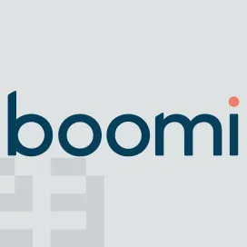 Boomi 02